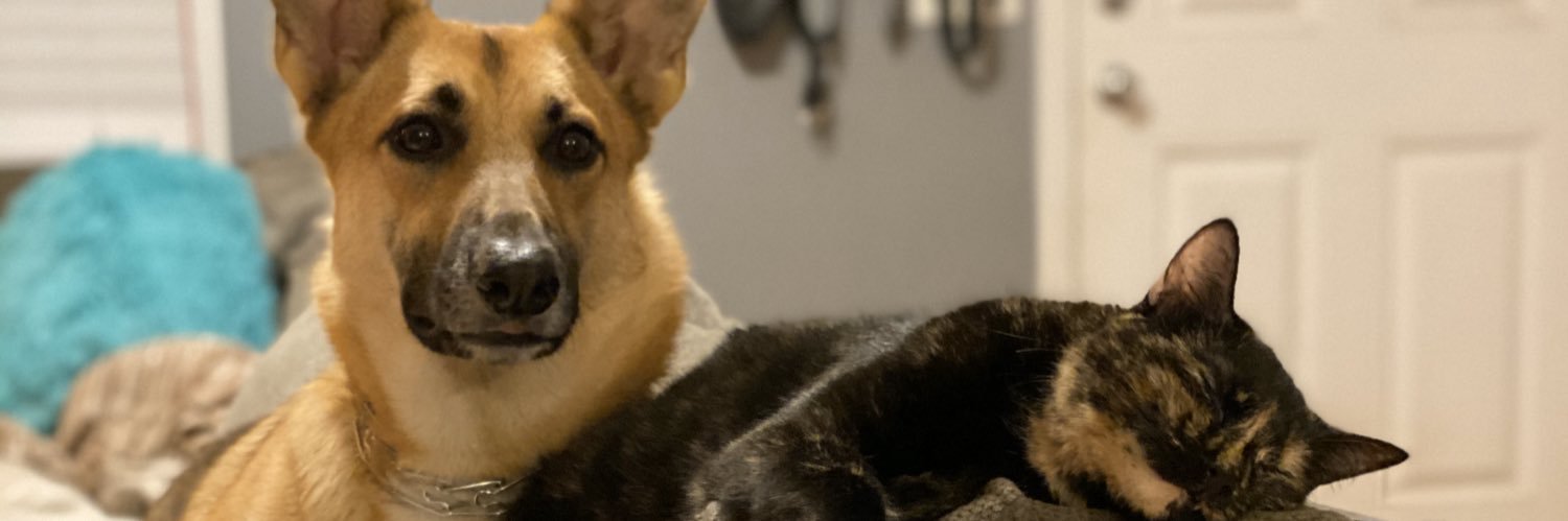 ThaneTHD's profile banner image
