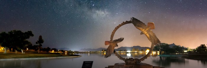 MNDragonfly's profile banner image