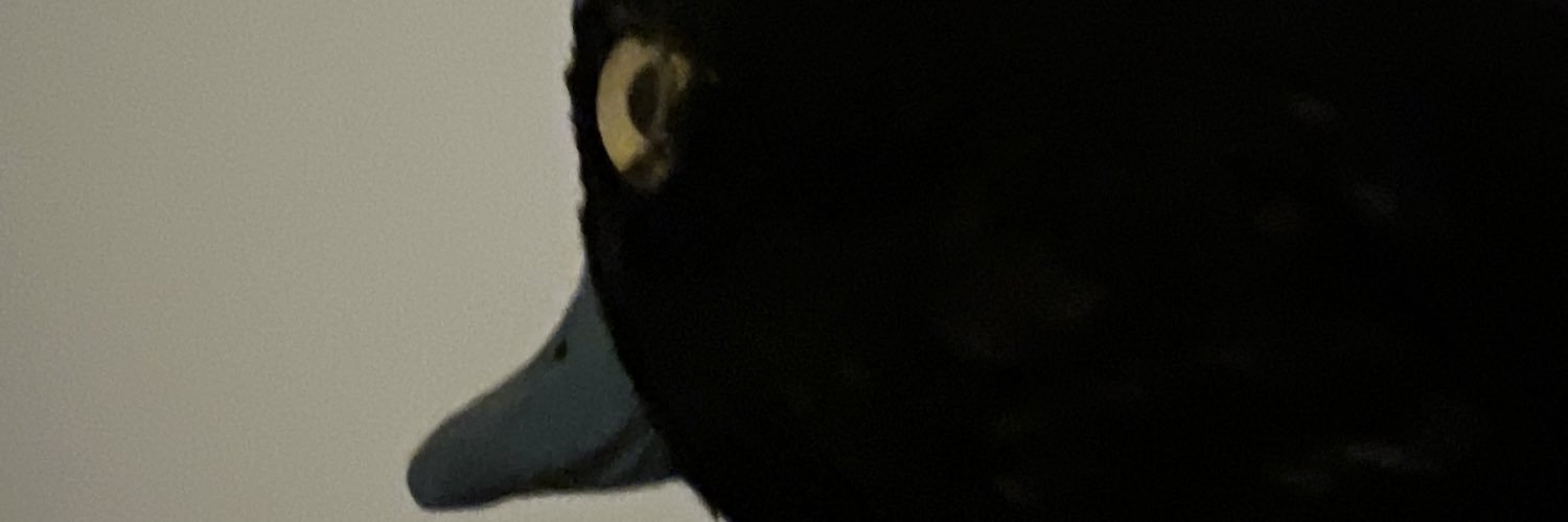 Jake_Butler227's profile banner image
