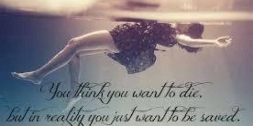 Lily Mellark...... banner