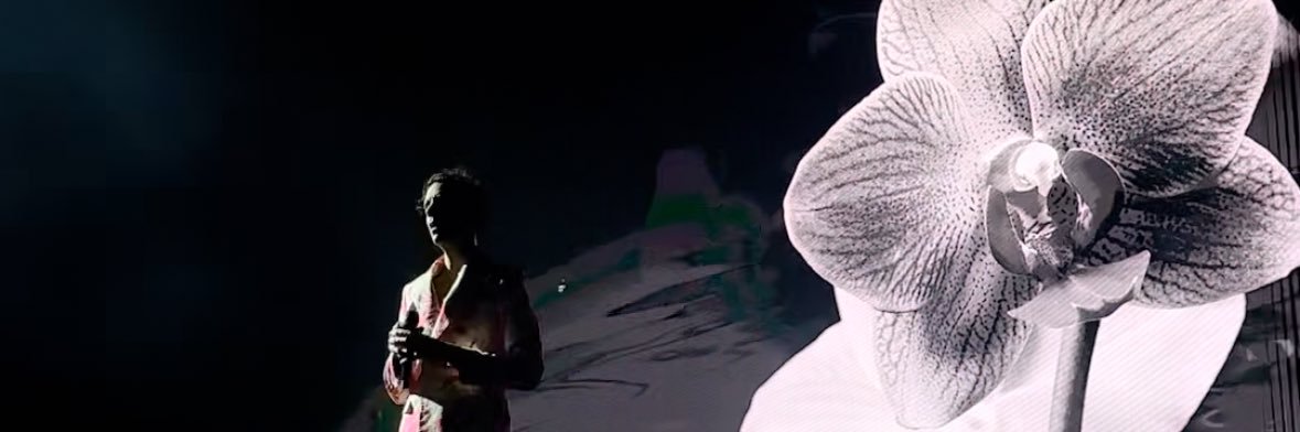 sab vs phd 🪐 banner