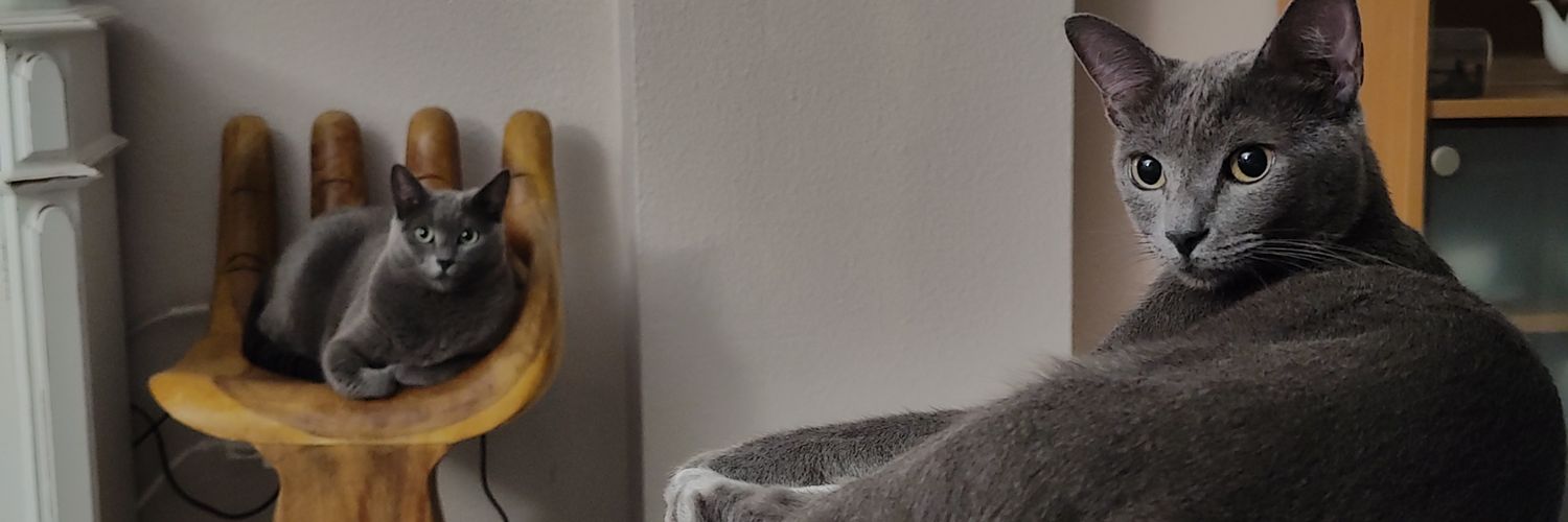 marioag84's profile banner image