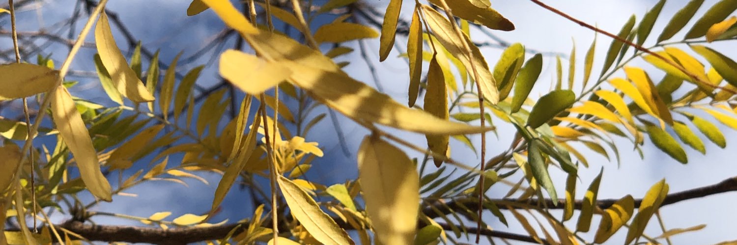 citizensane22's profile banner image