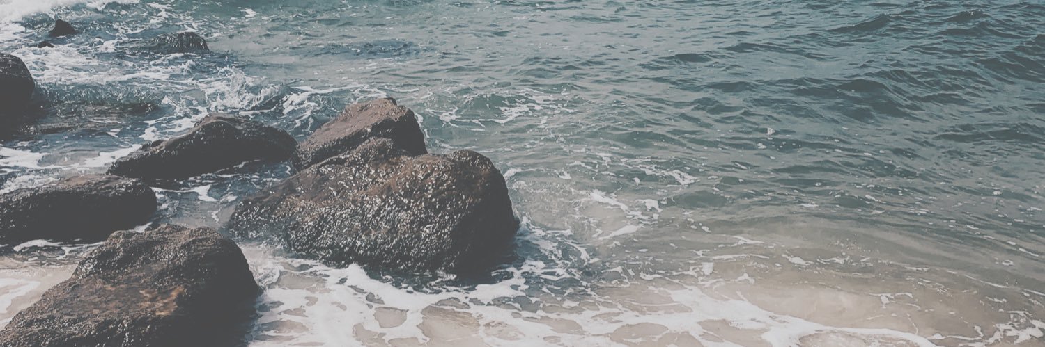 savannahgress's profile banner image