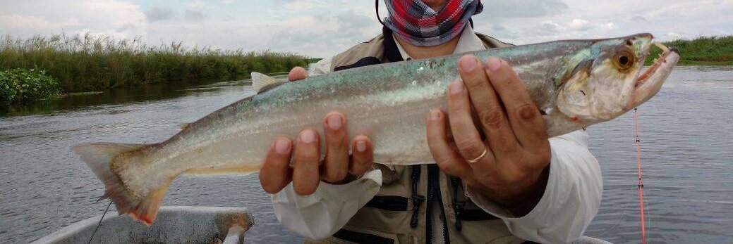 solopescadepo's profile banner image