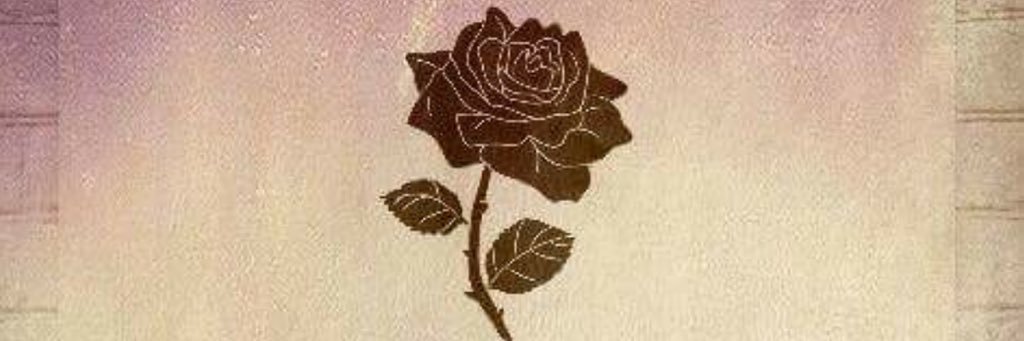 fabiola_mbr's profile banner image