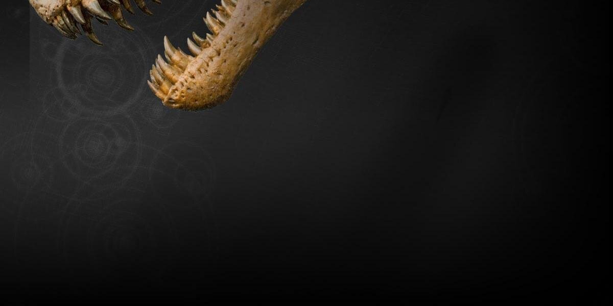 ABCNewsScience's profile banner image