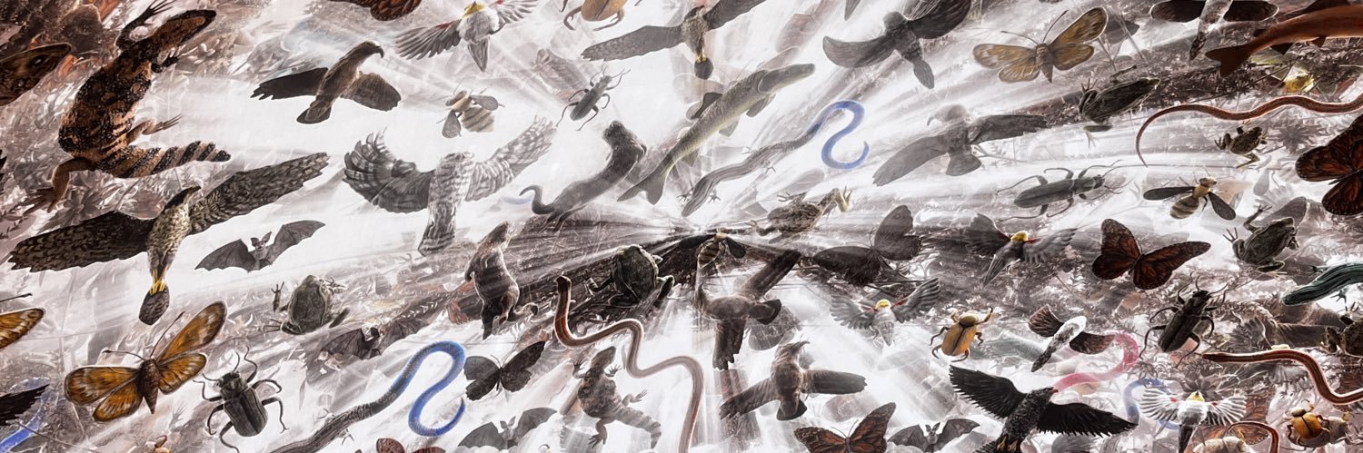 ElDiegoPM's profile banner image