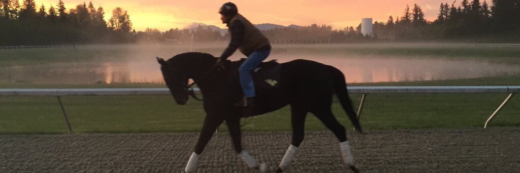 SharedBelief's profile banner image