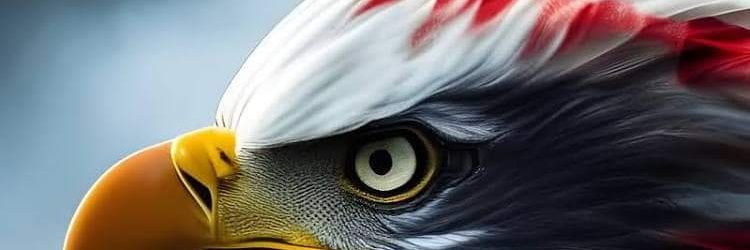 Dave 🇺🇸 banner