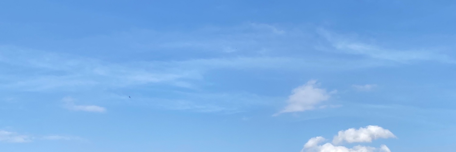 Benedicta Bywater banner