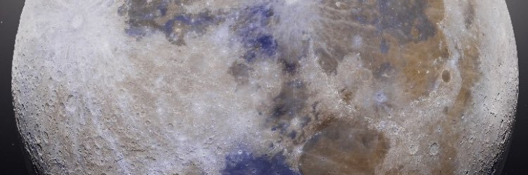 Bozz banner