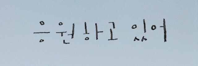 헤일로(HALO) 🎗 banner