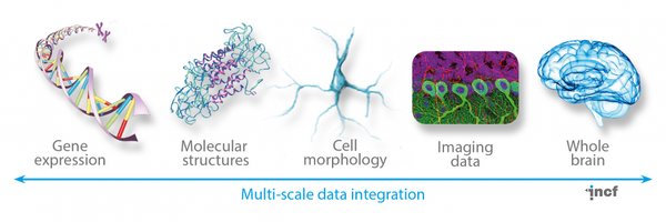 neuronJoy Profile Banner
