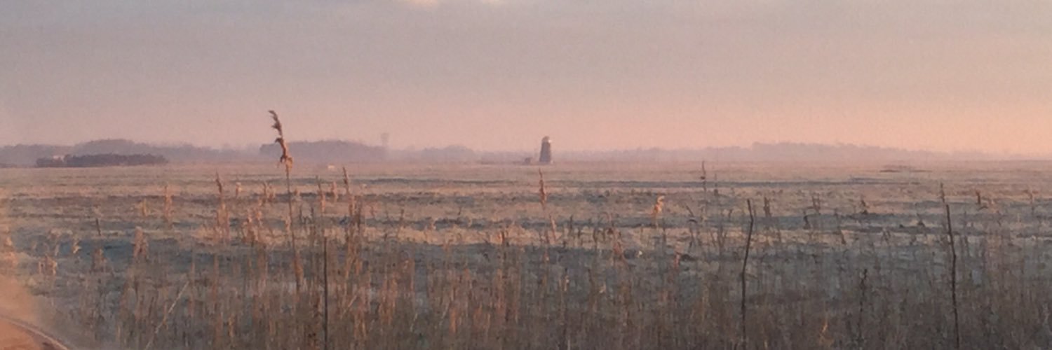 TAHannant's profile banner image
