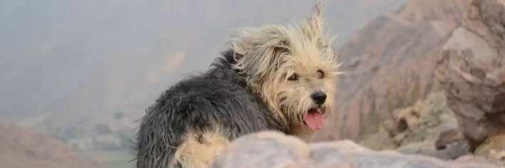 maquiparedes's profile banner image