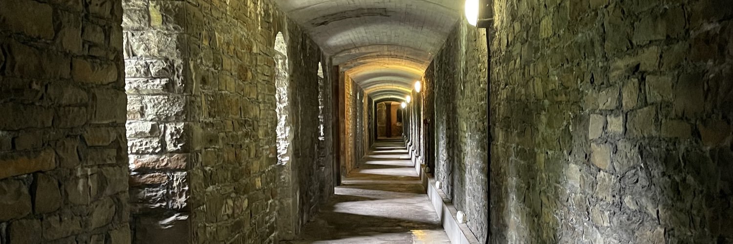 Erica Rodriguez Maier banner