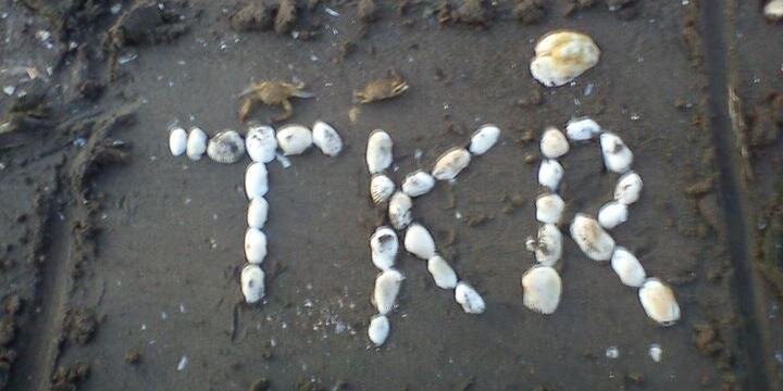 TeKa_eR's profile banner image