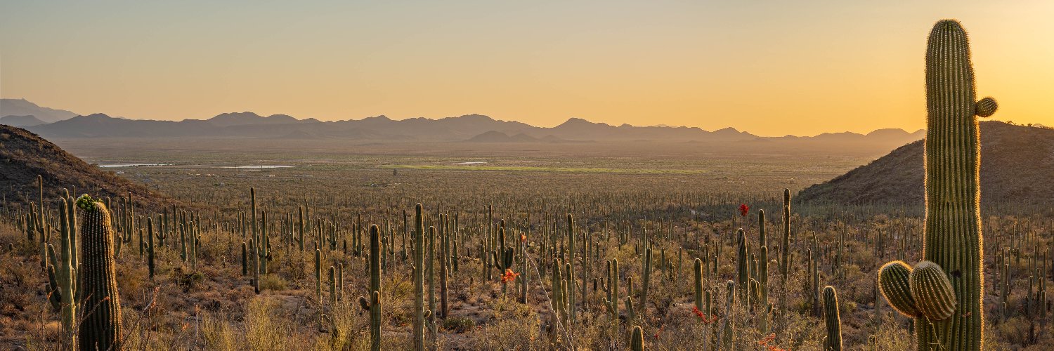 BrandonPHX's profile banner image