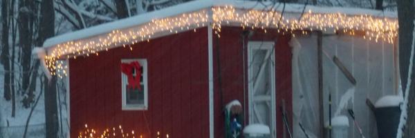 suzanne5538 Profile Banner