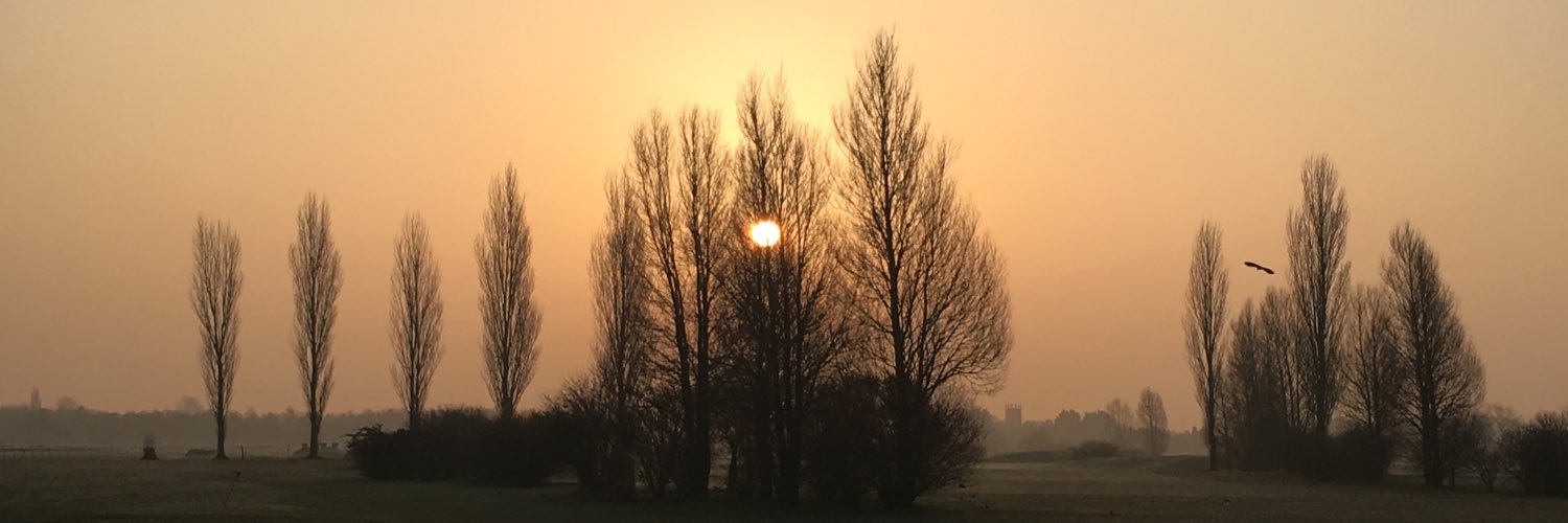 mummyforbes's profile banner image