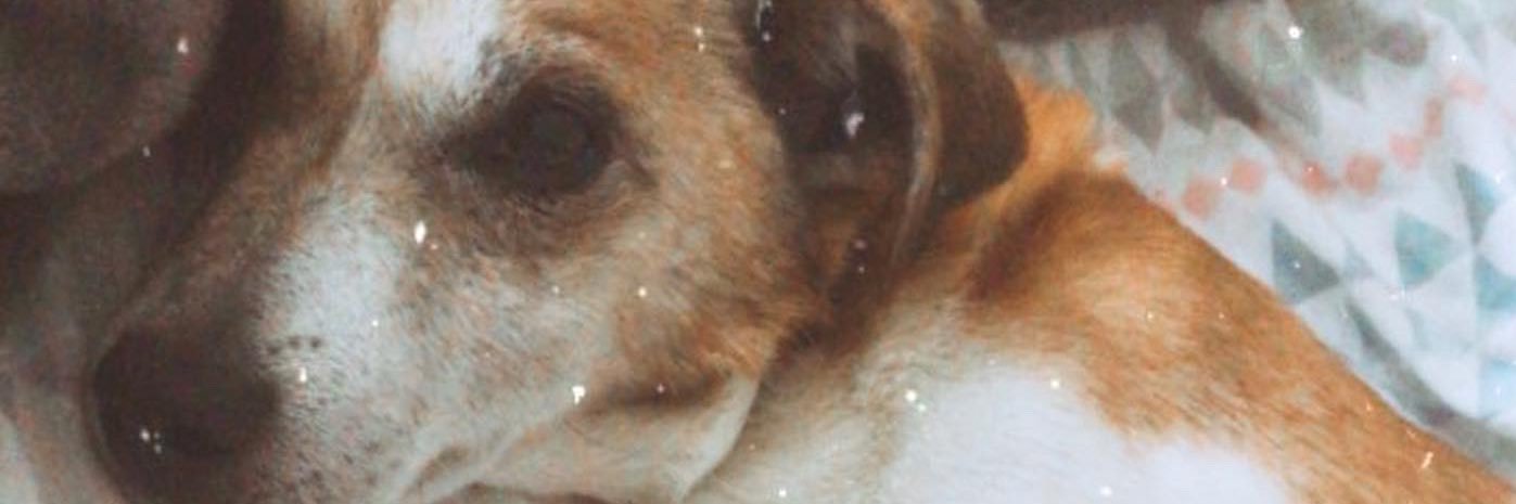 Chloecormackx's profile banner image