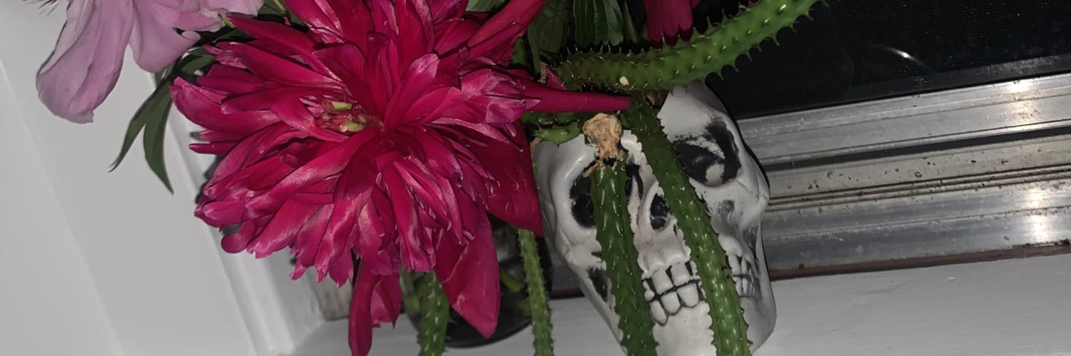 JitterbugJaunt's profile banner image