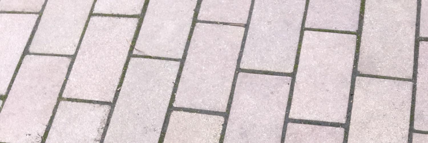 emmscarpenter's profile banner image
