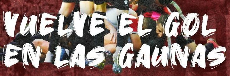 Info UD Logroñés banner