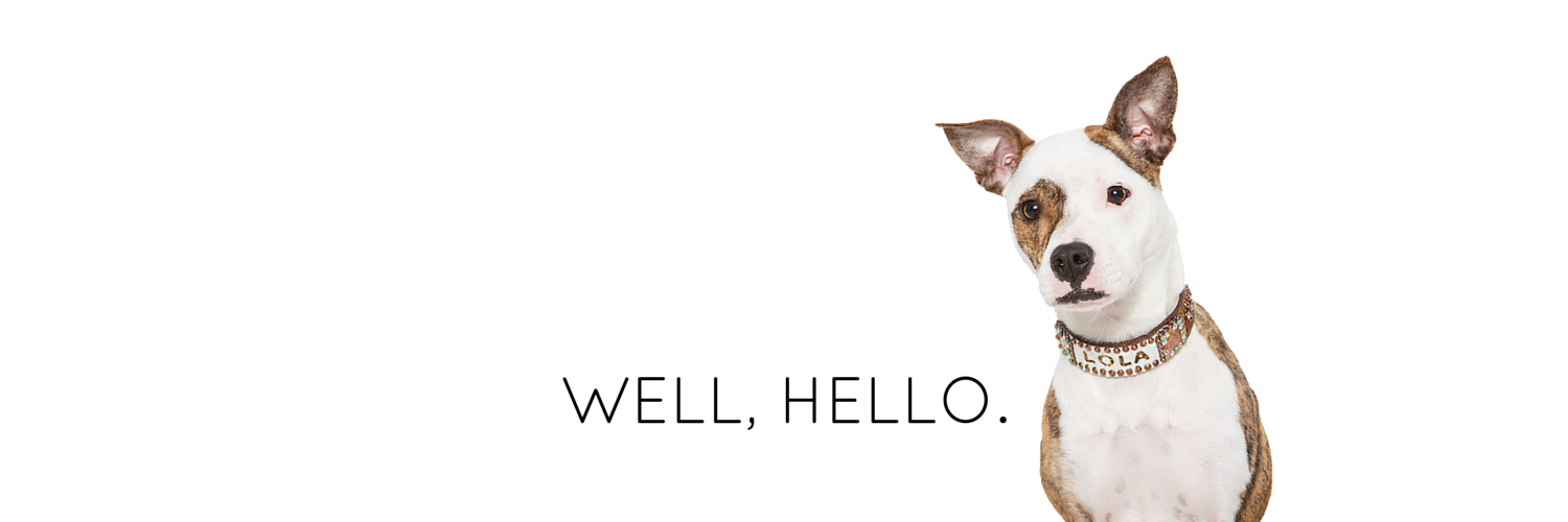 lolathepitty's profile banner image