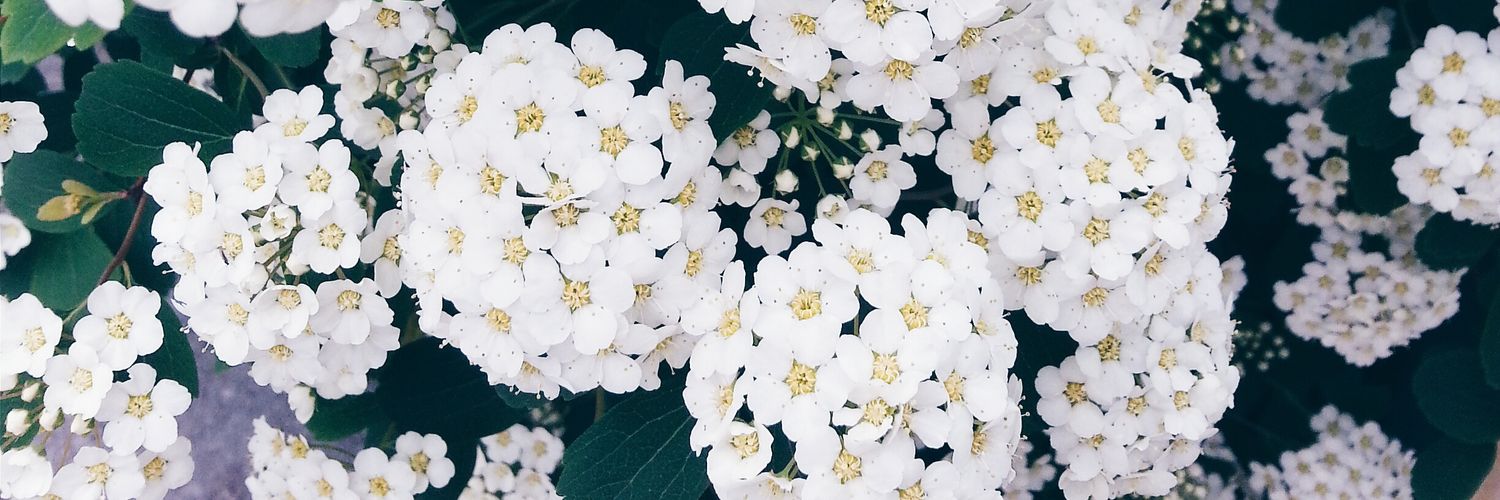 trbl_st's profile banner image