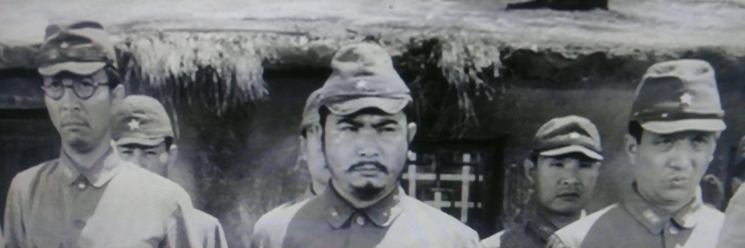 domoseta's profile banner image