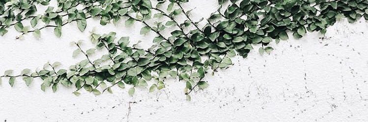 KAYRASP's profile banner image