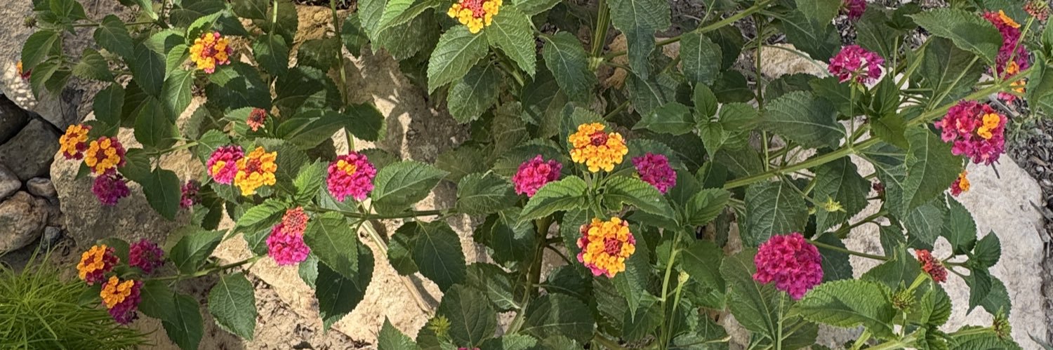 mostafaalmasoud's profile banner image