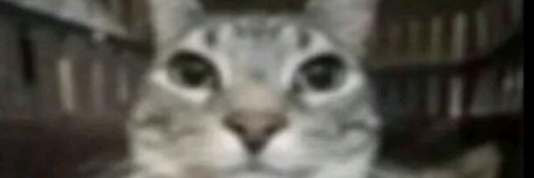 J banner