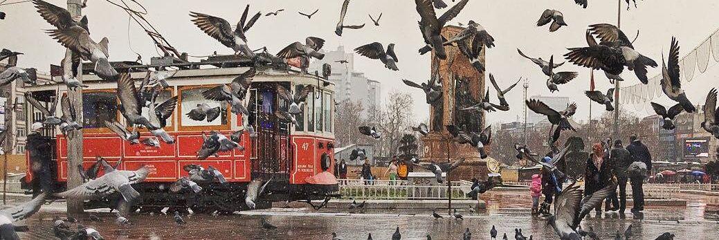 mustafawalioglu's profile banner image