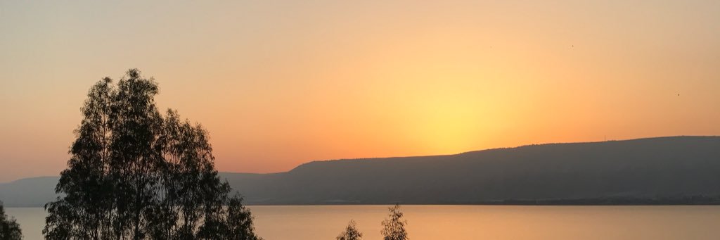 malthegalpal's profile banner image