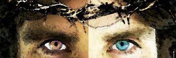 dcoltonbrown's profile banner image