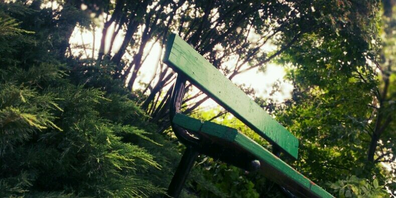 echochange's profile banner image