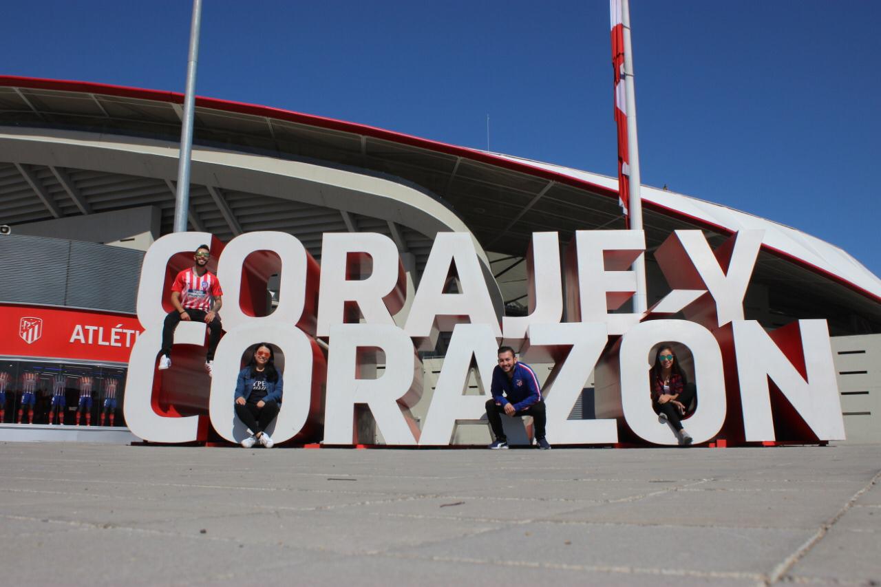 Like lion in the wild💯 banner