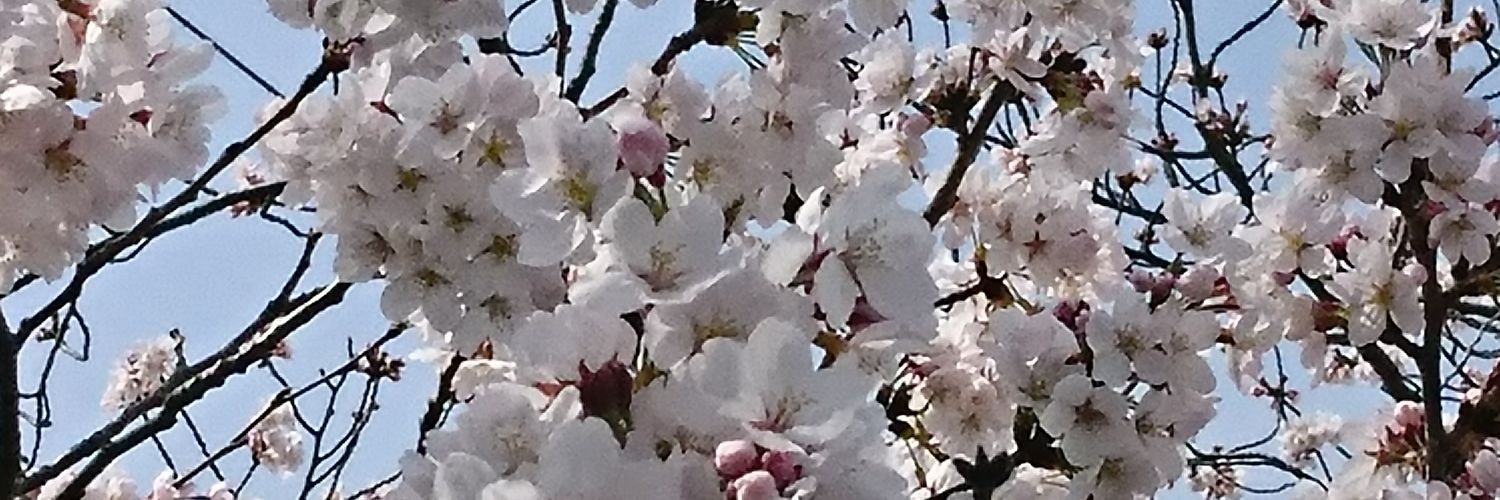 pm4506ys's profile banner image