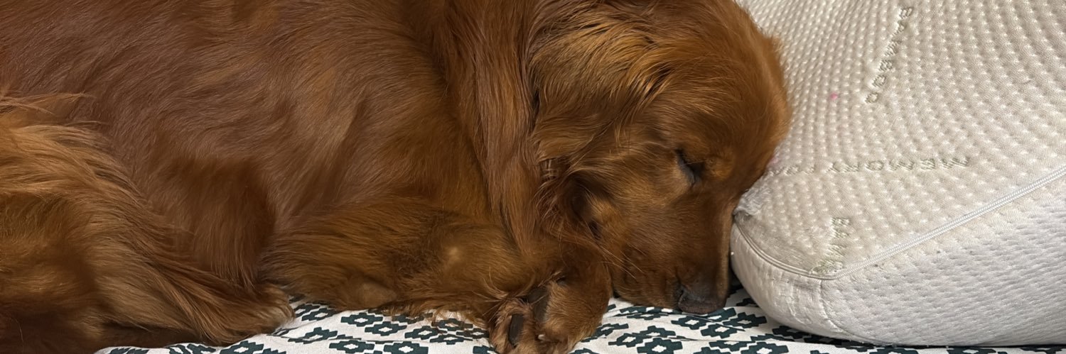 Nat banner