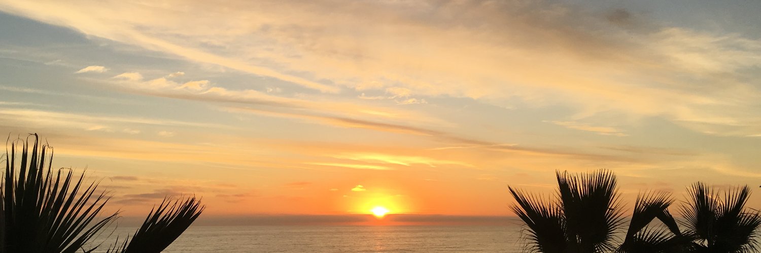ajvida's profile banner image