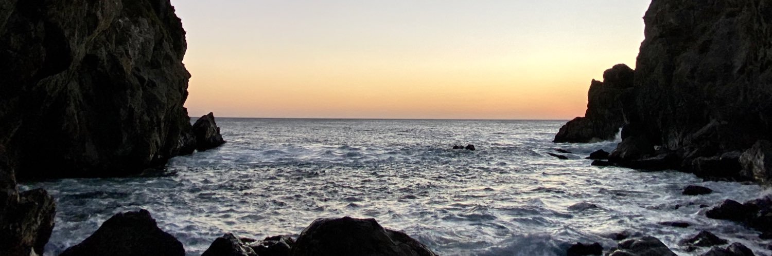 steptotheSIED's profile banner image