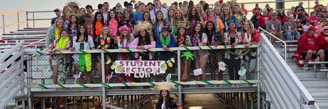 Motown Maniacs banner