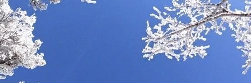 albalb_'s profile banner image