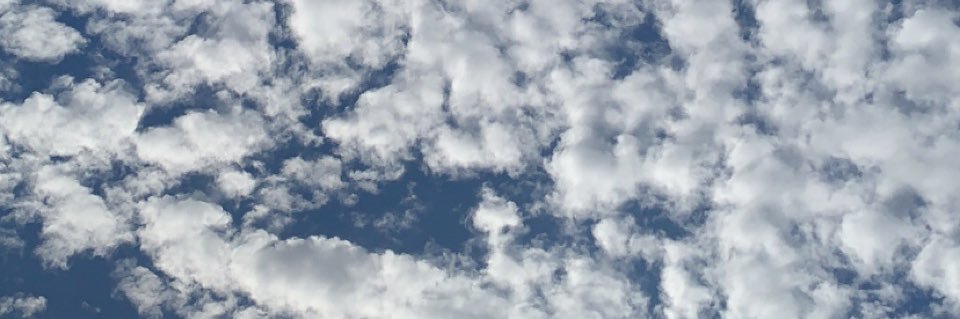 halalgalriri's profile banner image