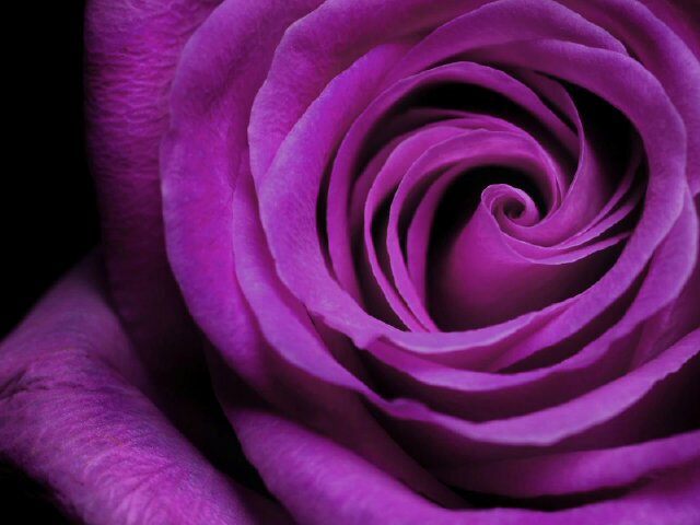 florencesoy's profile banner image