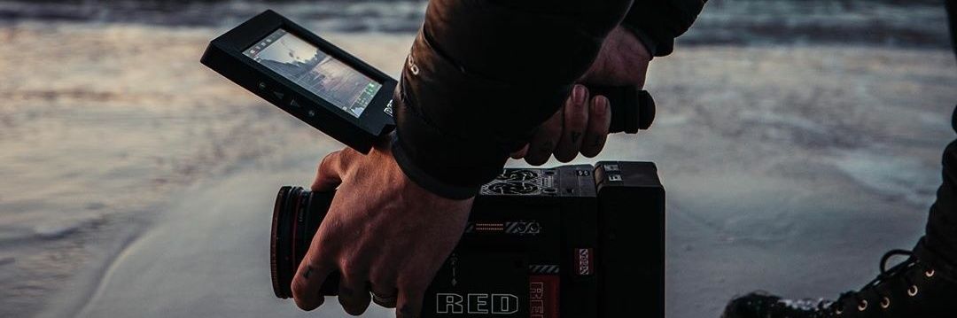 Igor Pellacani banner