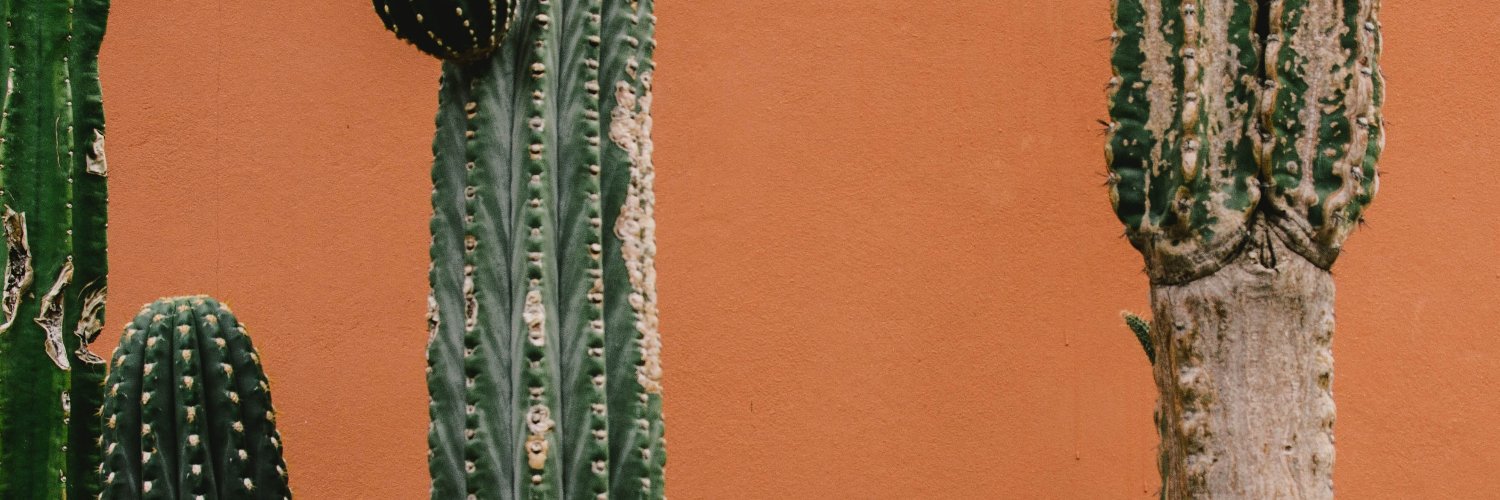 Uadebuk's profile banner image